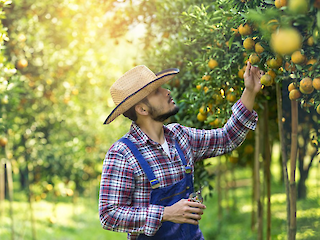 Riedel duurzame fruitteelt