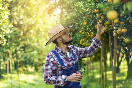 Riedel duurzame fruitteelt
