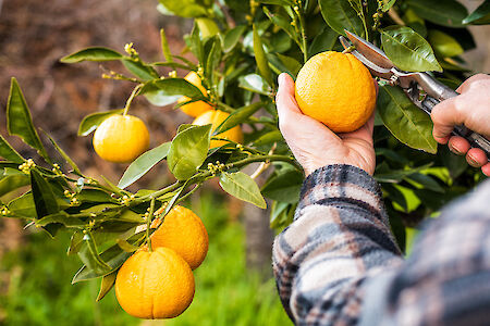 Duurzaam grondstoffen winnen