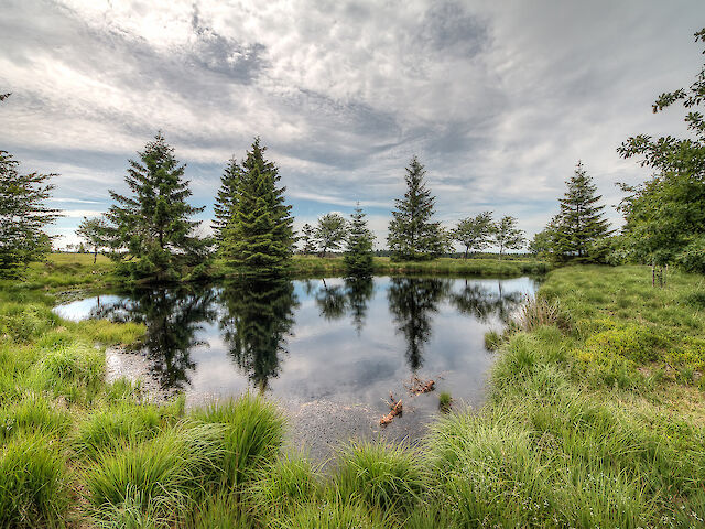 Unieke eigenschappen van mineraal- en bronwater