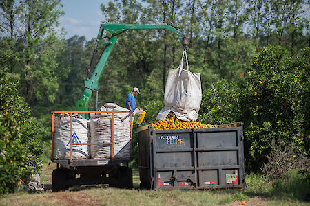 Duurzame fruitteelt door Riedel